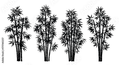Four black and white bamboo plant illustrations against a clean white background.
