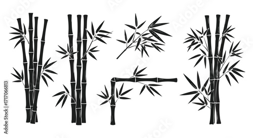 Black and white graphic illustration of several bamboo plants, stems and leaves.
