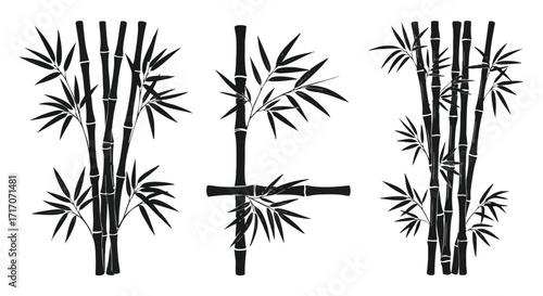 Silhouette illustration of various bamboo stalks and leaves in a decorative arrangement.
