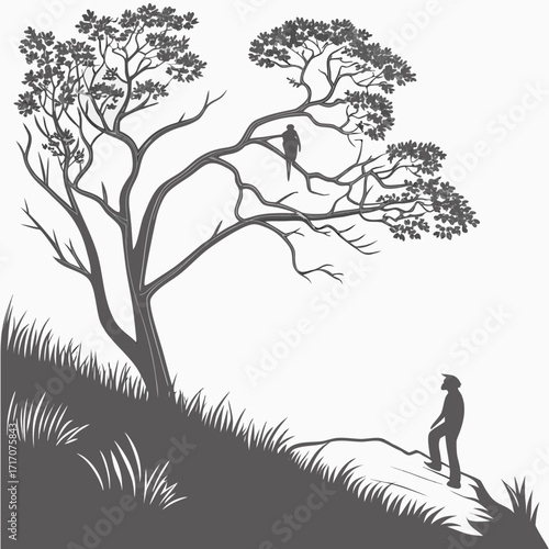 Silhouette Of A Tree With A Bird And A Hiker walking