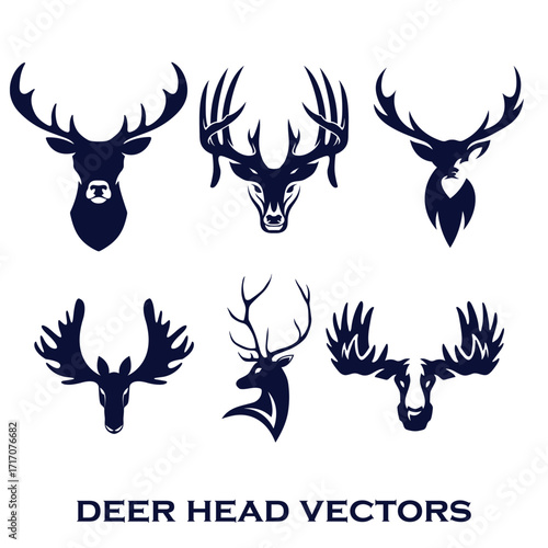 Whitetail Deer antlers collection of deer horns vector illustration