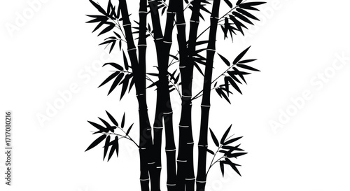 Silhouettes of tall bamboo stalks with lush foliage against a white background.