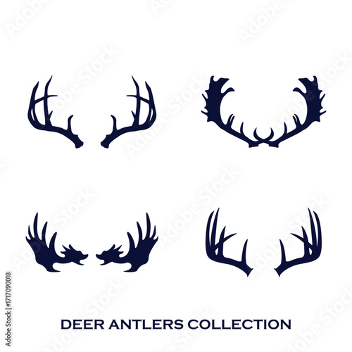 Whitetail Deer antlers collection of deer horns vector illustration