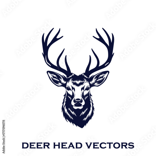 Whitetail Deer antlers collection of deer horns vector illustration