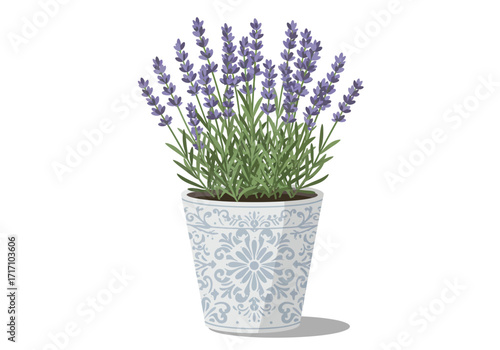 Lush purple lavender plant blooming in an elegant patterned white ceramic flowerpot.
