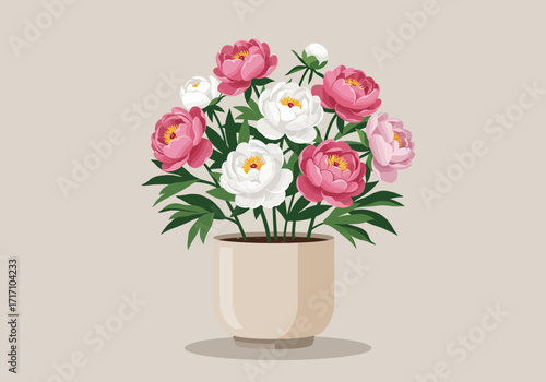 Potted Peonies: Pink and White Blooms in Beige Ceramic Pot