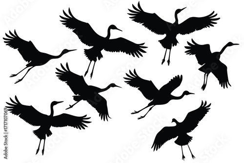 Graceful Flock Black Silhouettes of Cranes Soaring in Flight, Against a White Background, Birding Art