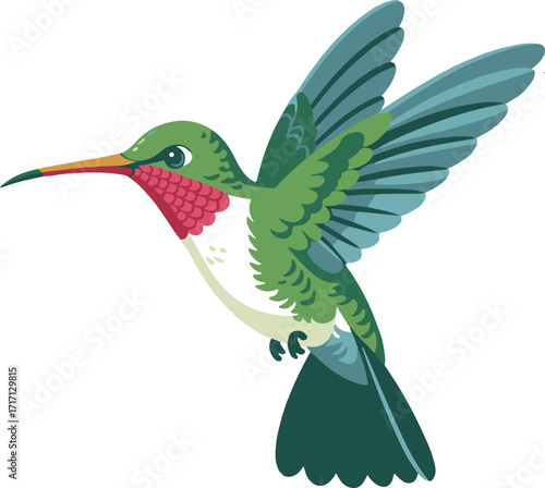 Hummingbird hovering gracefully against a clean white background