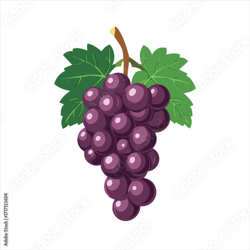 Purple grapes bunch with leaves