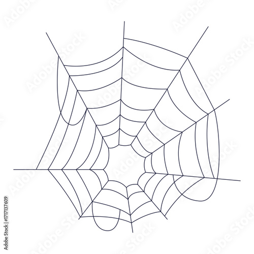 Spider Web Illustration