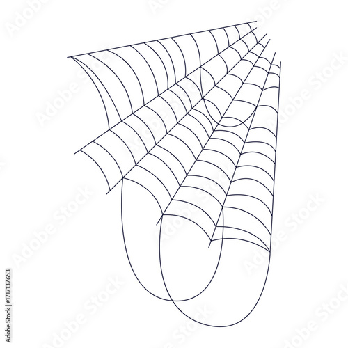 Spider Web Illustration