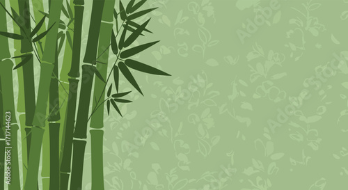 Simple green bamboo stalks and leaves against a soft textured background
