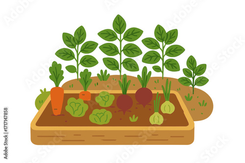 Vegetable garden with raised bed. Organic farming concept. Fresh homegrown vegetables: carrot, lettuce, beet, onion. Healthy food from the farm. Vector flat cartoon illustration.