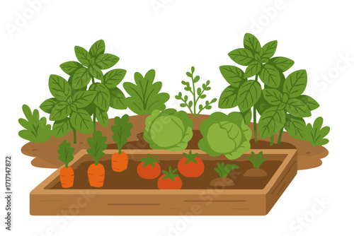 Raised garden bed with fresh vegetables. Organic garden concept. Homegrown healthy food. Kitchen garden with carrots, tomatoes, cabbage, and basil. Grow your own food.