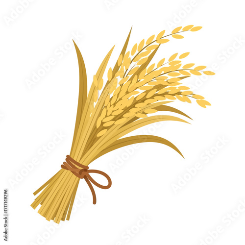 Golden rice stalks tied with brown rope, symbolizing harvest and agricultural abundance vector