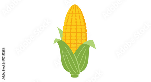 A cartoon illustration of a single ear of corn with green husks on a white background that is