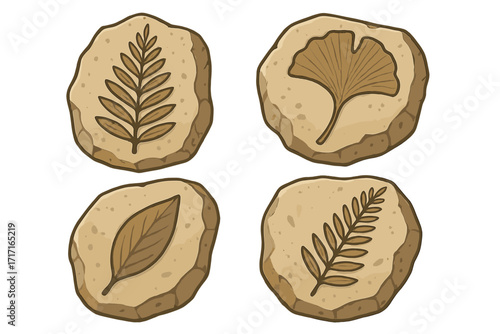 Plant fossil icon set. Vector illustration of prehistoric flora, fern, and ginkgo leaf imprints on stone. Archeology, paleontology, and evolution concept for museum display.