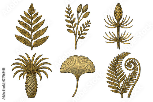 Set of prehistoric plants. Vintage botanical vector illustration. Fossil plants in engraving style. Paleontology, ancient flora, fern, ginkgo, cycad. Retro scientific drawing.