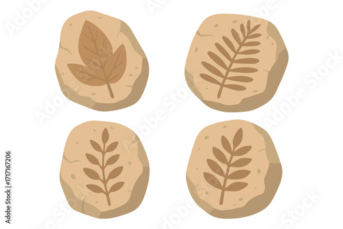 Prehistoric botanicals fossil leaves print on stones, paleobotany archaeological fossil plants, ancient leaf imprint on rock vector illustration, natural history paleo leaves collection