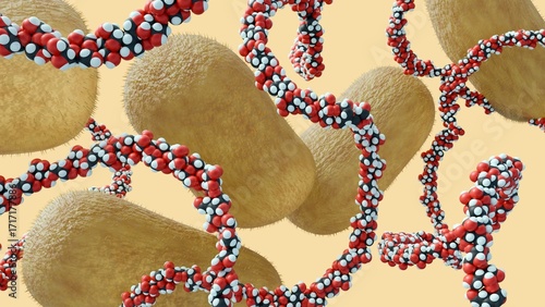 Canvastavla A 3d rendering of Komagataeibacter hansenii and cellulose fiber, these bacteria extrude or secrete the cellulose polymer or protective biofilm