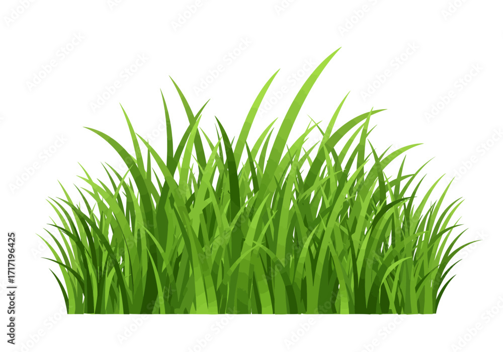 Obraz premium Lush Green Grass Clump with Watercolor Texture Illustration.