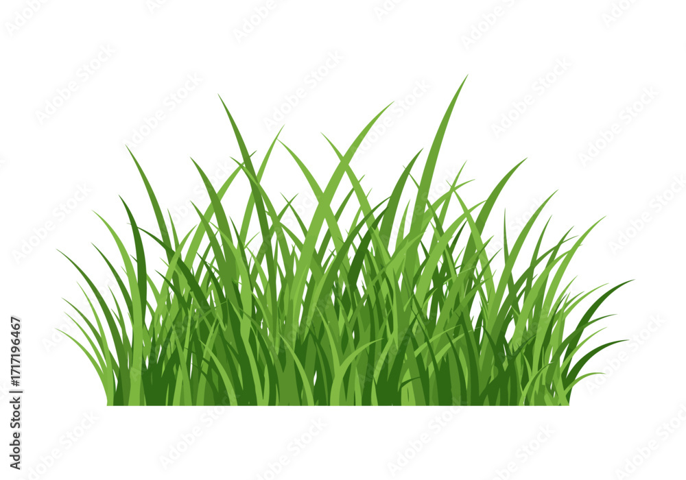 Obraz premium Lush Green Grass Illustration with Detailed Blades and Texture 1.