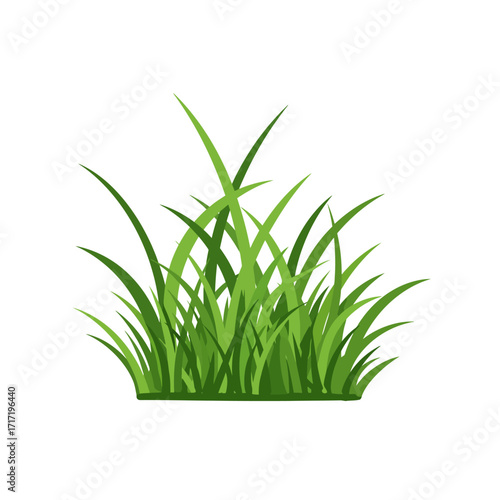 Lush Green Grass Illustration Detailed Blades and Natural Texture.