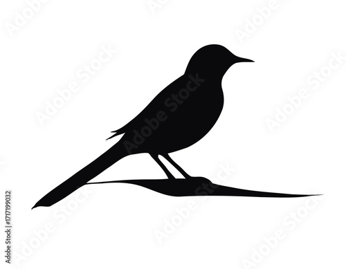 Bird Silhouette logo with white backgroun