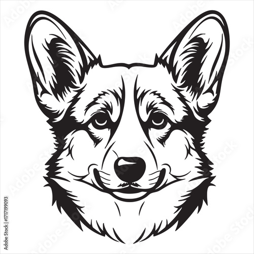 Majestic pembroke welsh corgi dog head portrait line art majestic canine companion silhouette