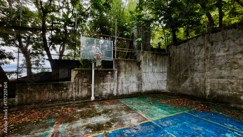 An abandoned basketball court. A view of an old basketball court, overgrown with trees, covered in fallen leaves, and with worn markings.