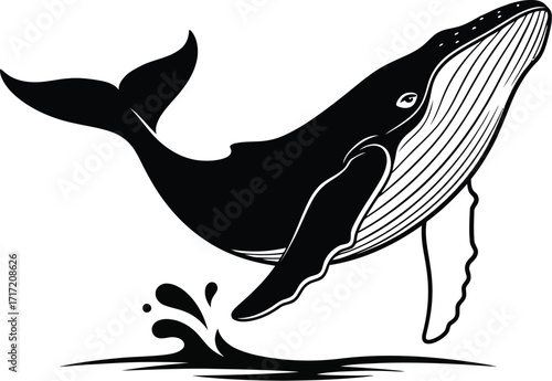 Vector art of humpback whale breaching the ocean surface