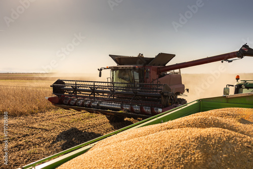Combine harvester loading tractor trailers with grain soybean