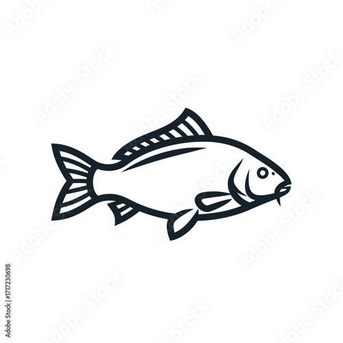 Clean minimalistic line drawing of a carp fish ideal for nature enthusiasts, fishing brands, or simple, elegant designs that need an aquatic touch