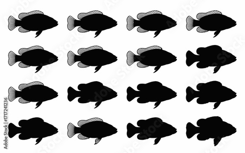 Vector art of silhouette of sixteen gourami fish in vector format