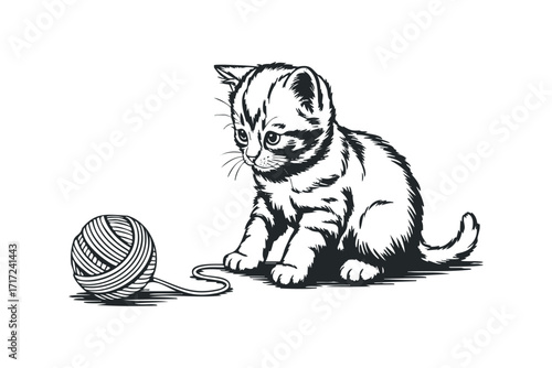 Young Kitten Playing With A Ball of Yarn. Vector hand drawn