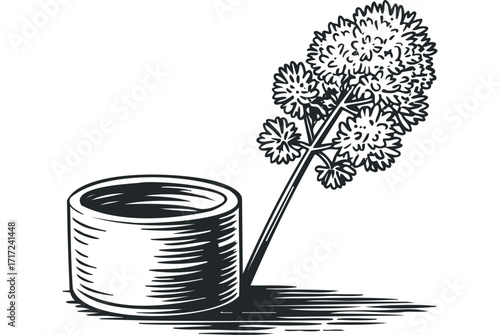 Branch of herb with dense foliage next to a small circular container with shadow. Vector hand drawn