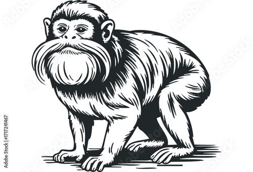 Detailed black and white drawing of a monkey with a prominent mustache. Vector hand drawn
