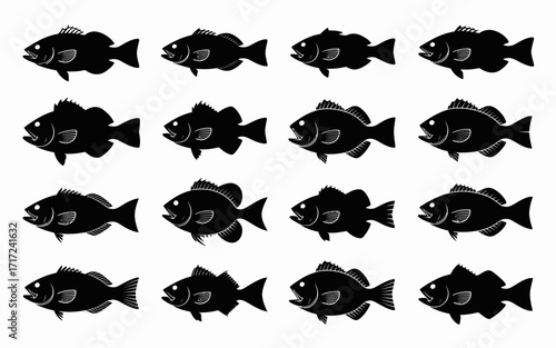Vector art of collection of black and white fish silhouettes