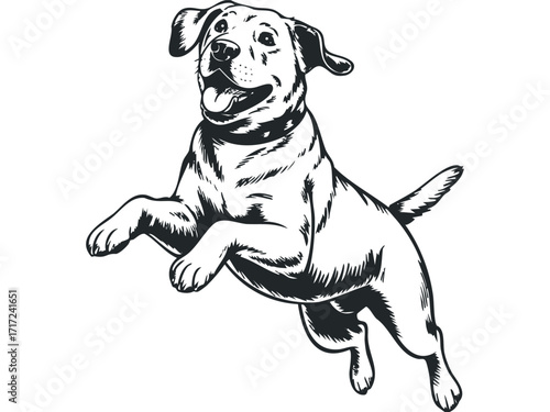 Joyful dog leaping with excitement on. Vector hand drawn