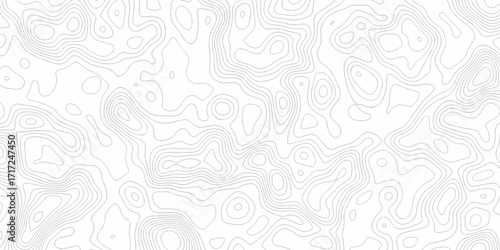 Minimal white line geometric grid outline curve counter map and wavy topography relief discovery area white, black line texture background.	
