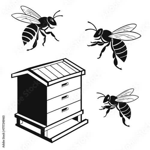 Black bees and wooden hive structure honey bee insect