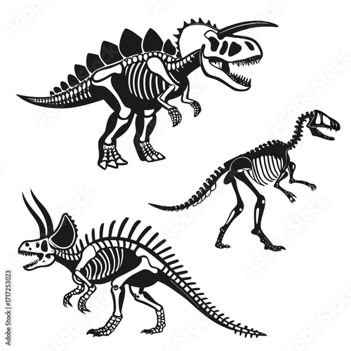 Dinosaur skeletons black white prehistoric animals
