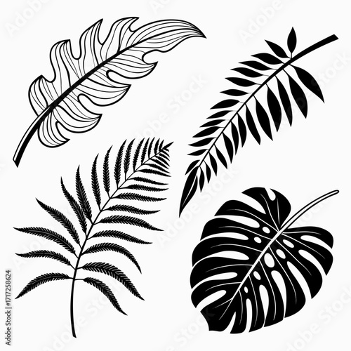 Jungle foliage collection monstera fern fronds leaves