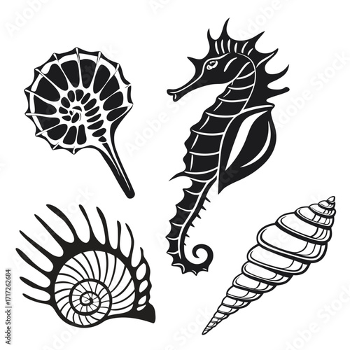 Seahorse and spiral shell silhouettes nautilus seashell
