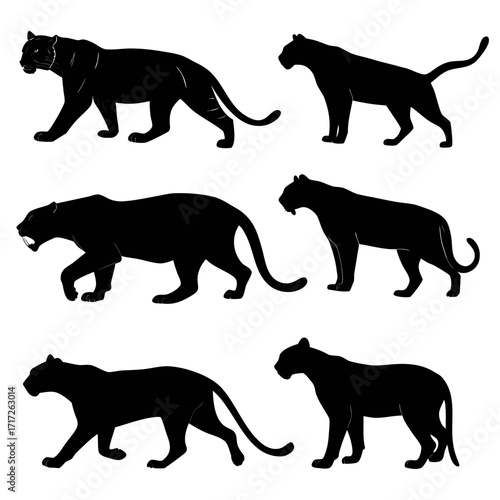 Six black wild cat silhouettes walking tiger panther
