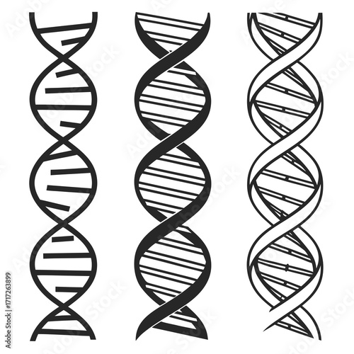 Three dna helix silhouettes molecule genetics