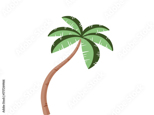 Palm Plant Coconut Background Illustration
