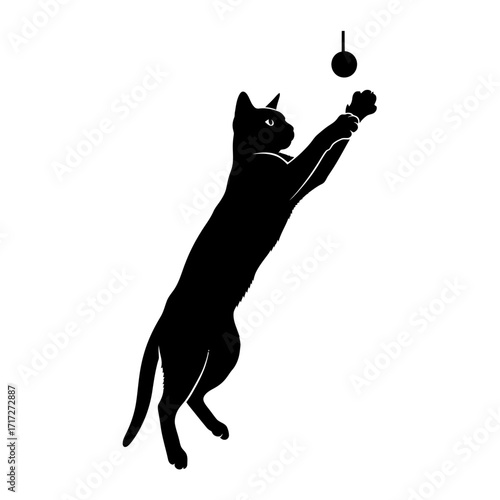 Lithe Silhouette of a Playful Siamese Cat Batting at a Dangling String Pet Art