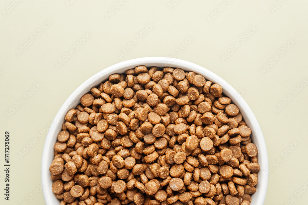 Fototapeta premium White bowl of dry dog food on beige background