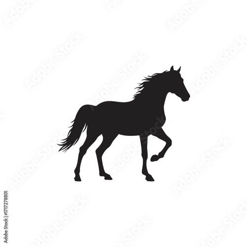 Black horse silhouette walking gracefully isolated on white background silhouette